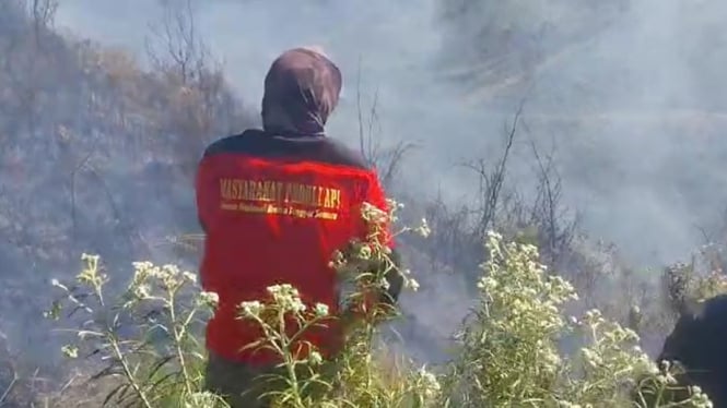 Kebakaran di Gunung Bromo / Dok Humas BB TNBTS