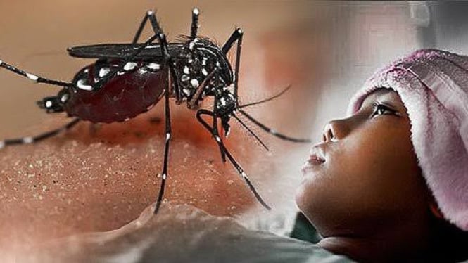 ilustrasi Demam Berdarah Dengue (DBD)