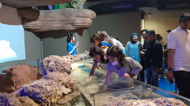 Jakarta Aquarium dan Safari Hadirkan Liburan Sekolah Seru Bertema Pirates Holida