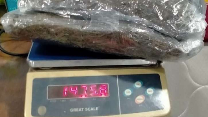 Ganja seberat bruto 1.475,8 gram diamankan Bea Cukai Semarang