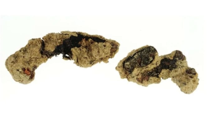 Fosil sandal Romawi yang ditemukan peneliti