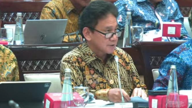 Wakil Ketua Dewan Komisioner OJK, Mirza Adityaswara