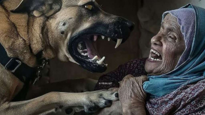 Un perro ataca a una abuela anciana