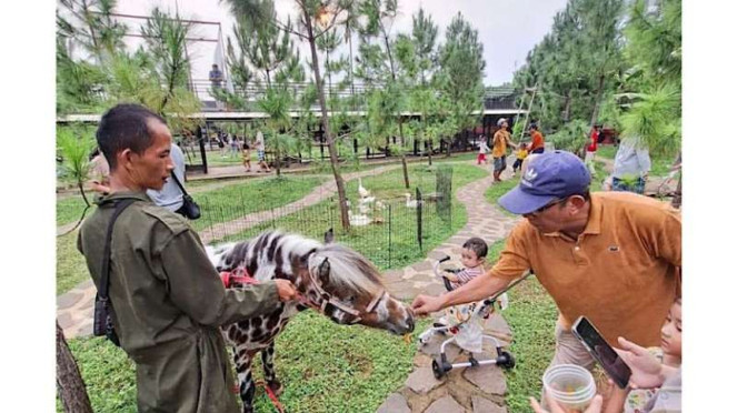 Jasmine Park