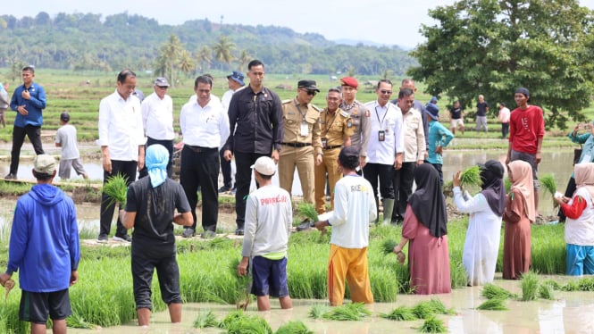 Presiden Jokowi bersama Menteri Pertanian Amran Sulaiman di Bone, Sulsel