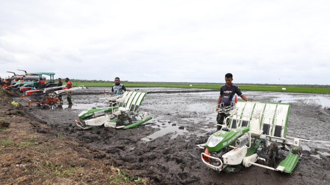 Lahan pertanian di Merauke (dok. Kementan)