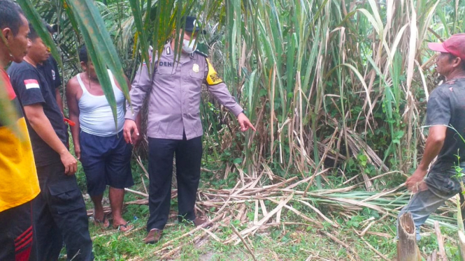 Polisi olah TKP penemuan jasad Kades Sarang Giting Kahan tewas tersambar petir. (dok Polsek Kotarih)