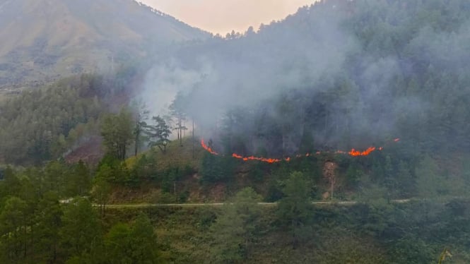 Kebakaran Hutan Lindung di Danau Toba, Kabupaten Samosir.(dok Dinas LHK Sumut)