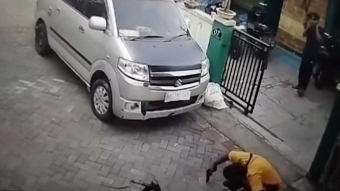 Viral penembakan kucing di Semarang, pelaku ditangkap polisi 