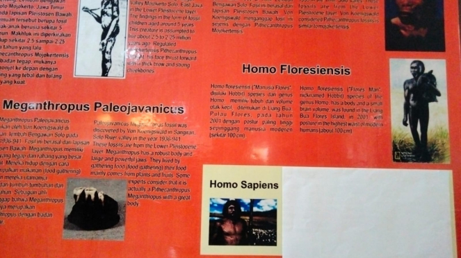 Informationstafel zum Thema Homo Sapien, die mit weißem Papier bedeckt ist