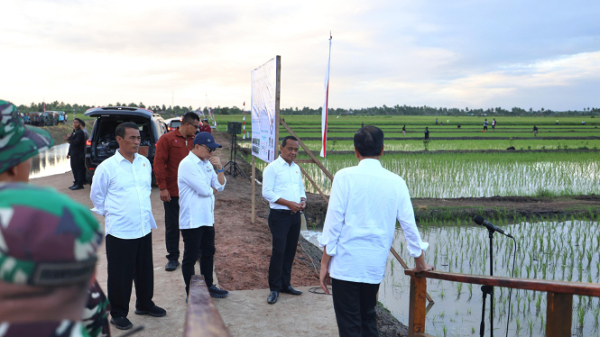 Presiden Jokowi dan Mentan Amran Sulaiman meninjau lahan pertanian di Merauke