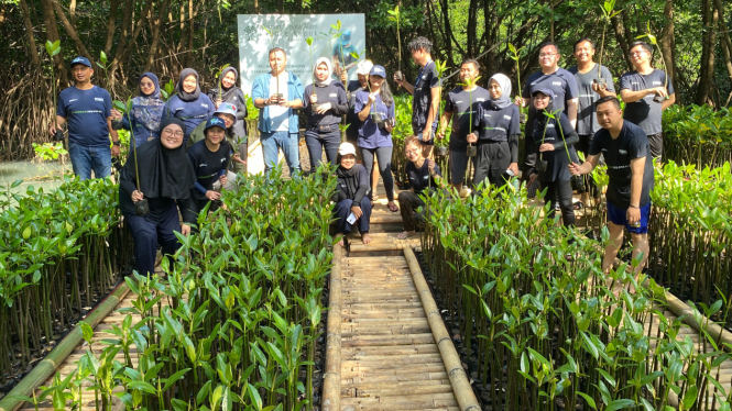 PNM melakukan penanaman lebih dari 50.000 pohon mangrove