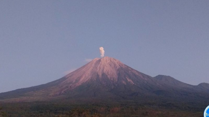 Gunung Semeru erupsi dengan lontarkan abu vulkanik setinggi 800 meter di atas puncak pada pukul pukul 05.21 WIB, Senin, 12 Agustus 2024.