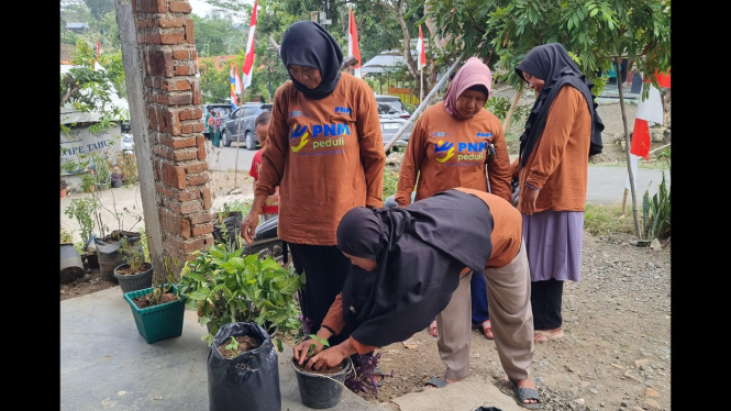 PNM Peduli beri bantuan bibit cabai