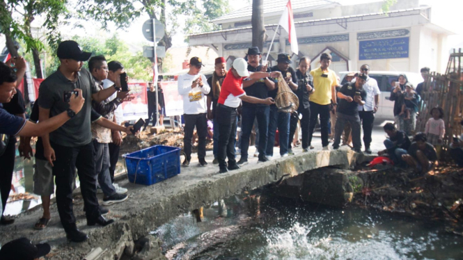 Penyebaran ikan lele di Kali Sipon Tangerang