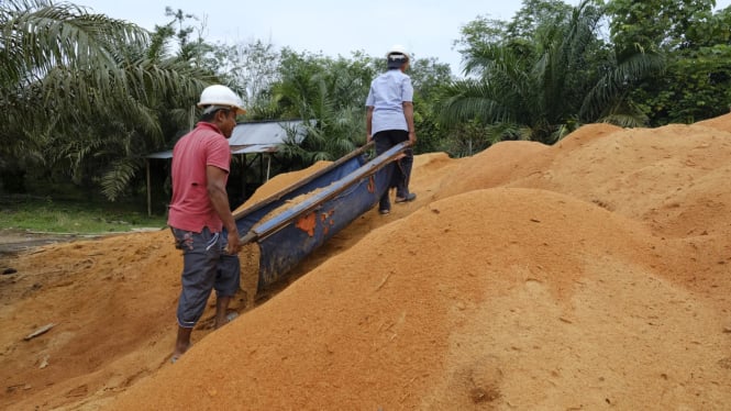 Proses penyediaan sawdust oleh masyarakat yang nantinya digunakan untuk energi primer pengganti batu bara di PLTU Ombilin [dok. Humas PLN Indonesia Power]