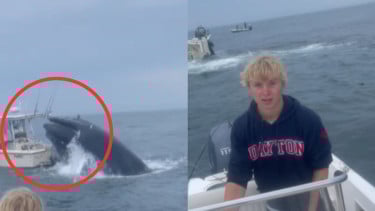 Dos pescadores en las ballenas de ataque de New Hampshire