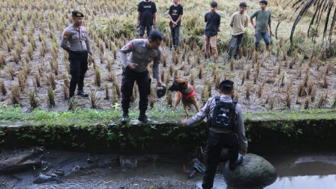 Anjing Pelacak Dikerahkan Untuk Merncari Barang Bukti Baru