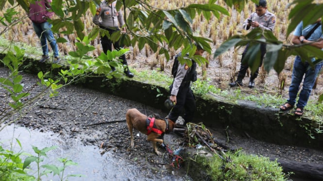 Pencarian Barang Bukti Oleh Anjing Pelacak