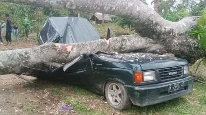 Mobil tertimpa pohon di Kabupaten Langkat.(istimewa/VIVA)