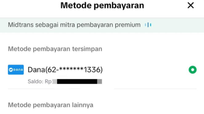Cek Saldo DANA di aplikasi lain