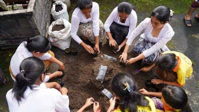 Beberapa pelajar sedang mengisi tanah subur ke dalam polybag untuk media semai salak - Foto: Dokumen FAO