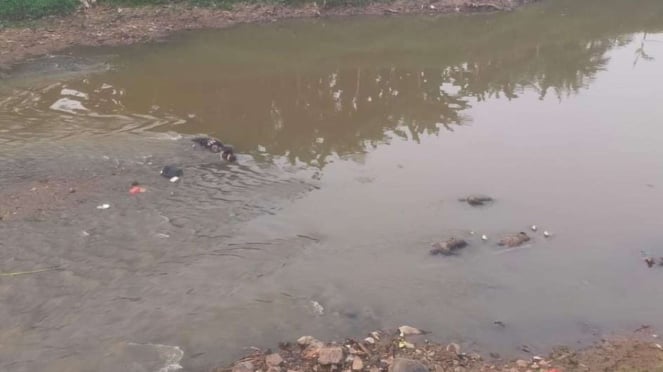 Hallados siete cadáveres en el río Bekasi