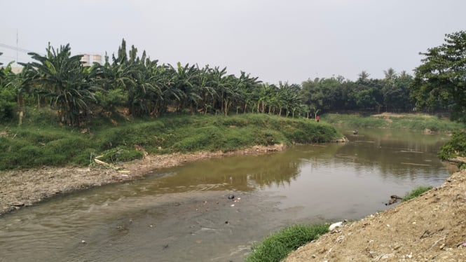 Lokasi temuan mayat di Kali Bekasi / Dani