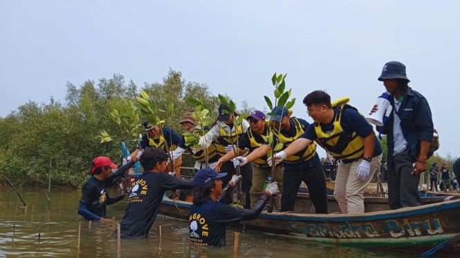 5.000 Bibit Mangrove Ditanam di Muara Gembong