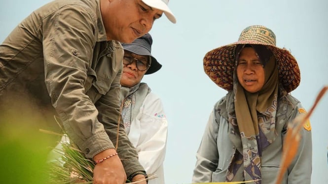 Irpom Jadi Kunci Keberhasilan Petani Warakas