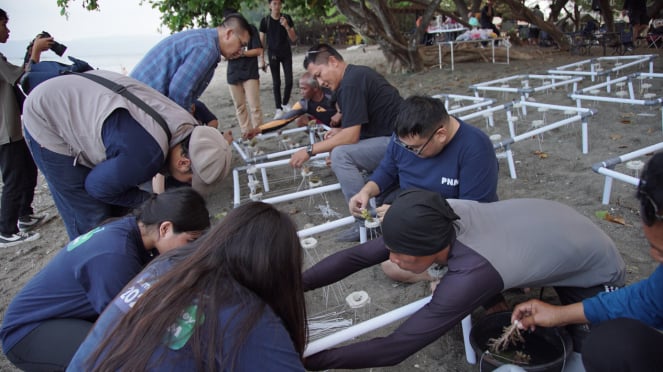 Cultivando a vida costeira, o PNM gerencia criticamente os ecossistemas dos recifes de coral