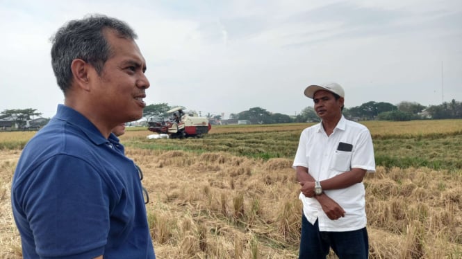 Kelompok Tani Talang Tani sukses panen padi seluas 3 ha