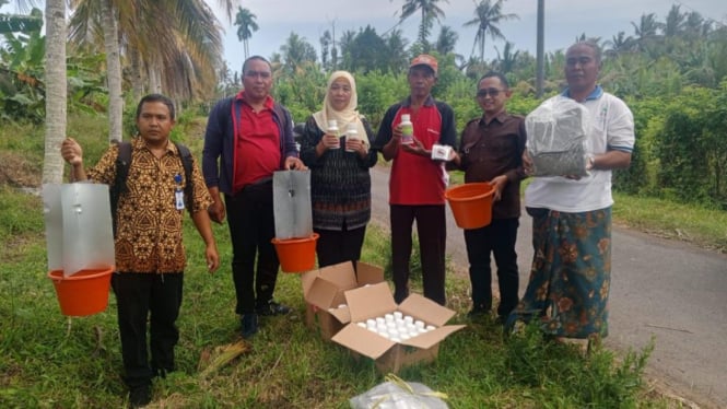 Kementan gelar kesiapsiagaan pengendalian serangan ulat Artona catoxantha