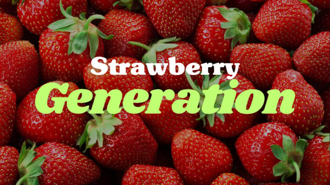 Apa Itu Strawberry Generation?