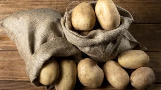 Gandum, Kentang, atau Jagung: Mana yang Lebih Mengenyangkan dan Rendah Kalori?