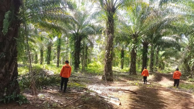 Tim Sar Gabungan Lakukan Pencarian Orang Hilang di kebun Sawit, Konawe Utara