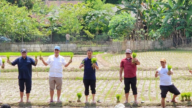 Panen Perdana di Kalteng, Bukti Swasembada Pangan Bukan Sekedar Omon-omon