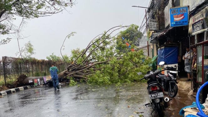 Pohon tumbang di pondok cabe, tangsel timpa pemotor