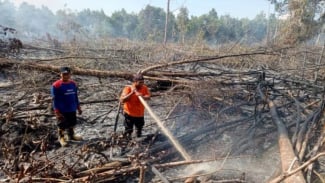 77,11 Hektare Lahan di Palangka Raya Terbakar dalam 10 Bulan, BPBD Ingatkan Kejadian Tahun 2015