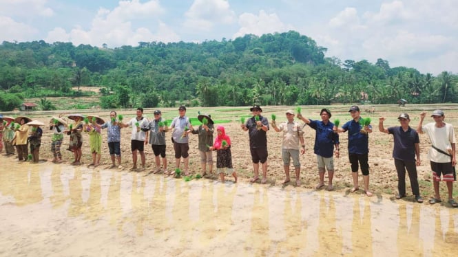 Tanam bersama dua kelompok tani