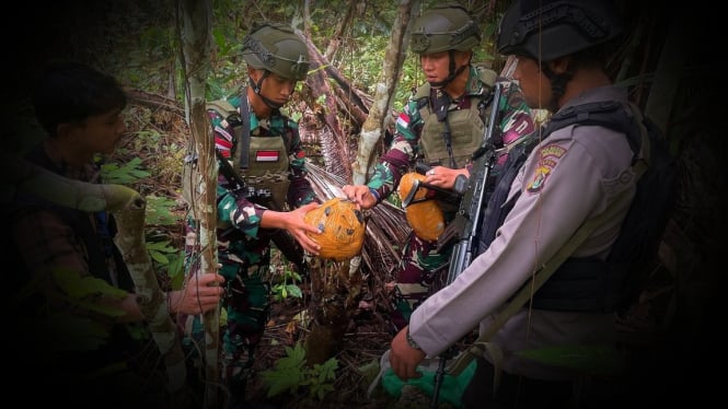 VIVA Militer: Pasukan Satgas Yonif Braja Sakti di hutan Papua