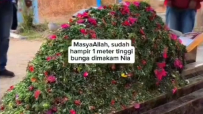 Ramai Diziarahi, Kubura Nia Gadis Penjual Gorengan Membentuk Gunung Bunga