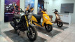Photo Mini 1