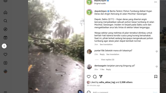 Pohon Tumbang di Mochtar Raya Sawangan Depok