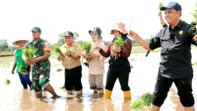 Kementan melakukan peninjauan langsung kegiatan penanaman padi