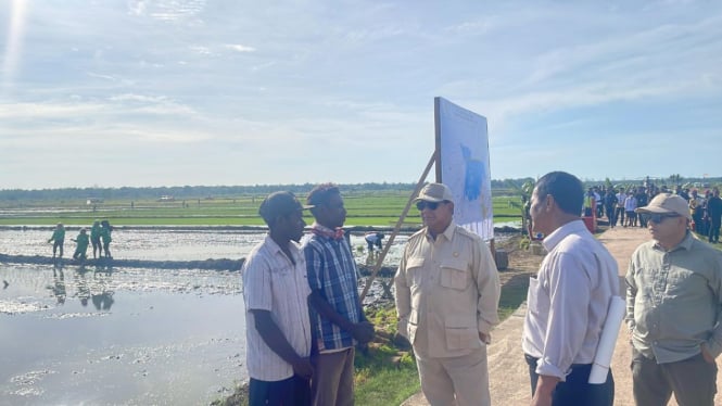 Momen Prabowo Jajal Traktor Lumbung Pangan Nasional di Merauke