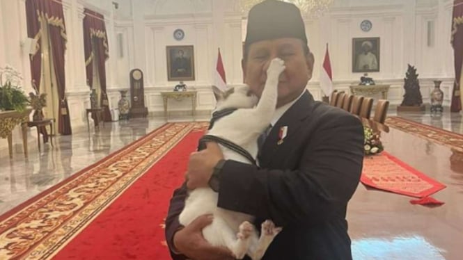 Kucing Bobby Kertanegara cakar dan gigit Presiden Prabowo