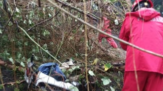 Nahas, Wanita Pengendara Motor Tertimpa Pohon Tumbang di Jagakarsa Jaksel