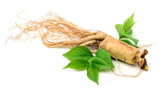 ginseng