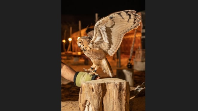 Tour nocturno en el desierto de Dubai.